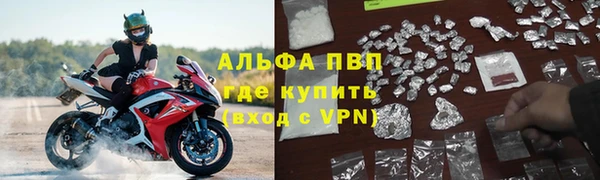 гидра Няндома