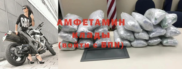 гидра Няндома