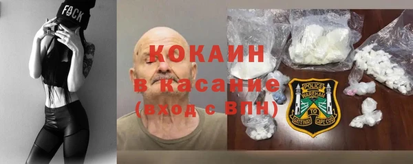 гидра Няндома