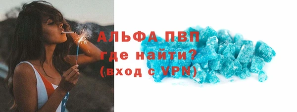 гидра Няндома