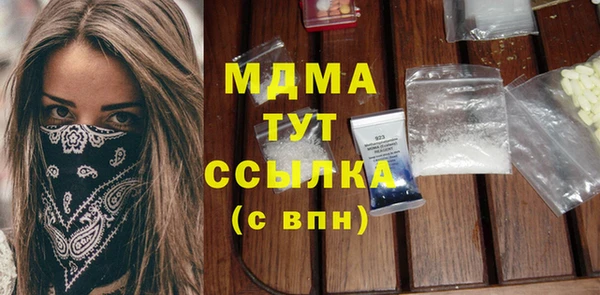 гидра Няндома