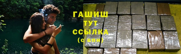 гидра Няндома