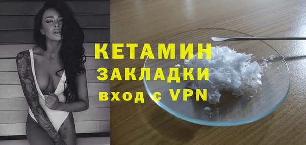 гидра Няндома